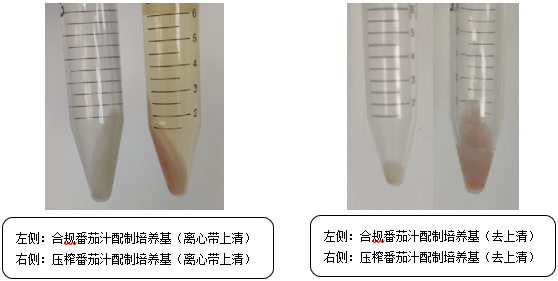維生素檢測(cè)國(guó)標(biāo)法本底污染的原因分析